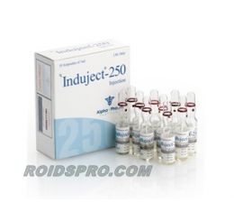 Induject 250 for sale | Sustanon 250 mg per ml | 10 amps Alpha Pharma
